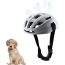 Cascos De Bicicleta Para Perros
