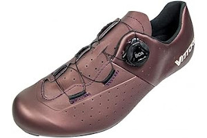 51iECgAye6L._AC_UL320_