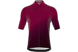 51qL-gd6D-L._AC_UL320_