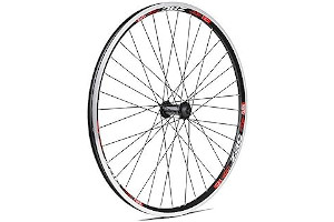 61GetXbdD9L._AC_UL320_