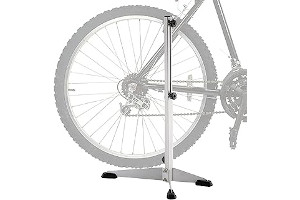 61R7qPDmmtL._AC_UL320_