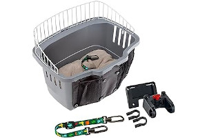 61eD4rQxd1L._AC_UL320_