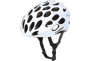 71Fp5hWiHBL._AC_UL320_