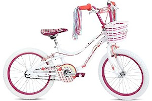 Llantas Para Bicicleta Schwinn