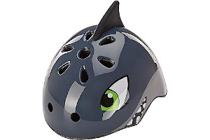 819aerxTL8L._AC_UL320_