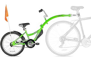 81r86RBVX4L._AC_UL320_