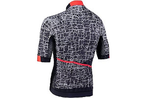 91XtItO5gZL._AC_UL320_