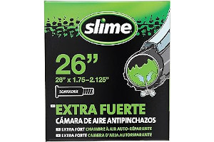 91Z7hZbmSsL._AC_UL320_